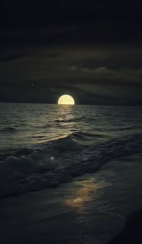 Moonlight Pictures, Nature Edits, Spooky Halloween Pictures, Moon Sea, Hd Nature Wallpapers, Moon Pictures, Islamic Quotes Wallpaper, Beautiful Moon, Summer Wallpaper