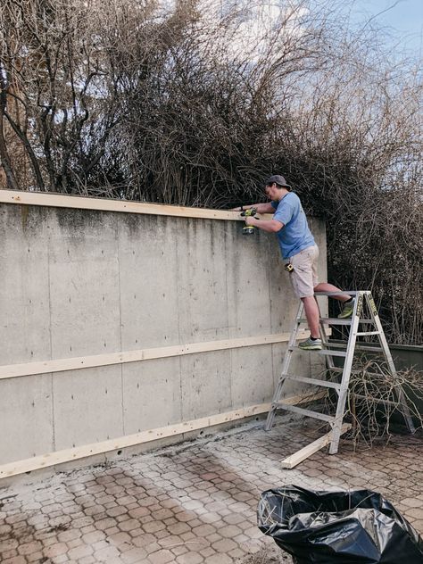 Cover Concrete Retaining Wall, Wood Slat Retaining Wall, Diy Concrete Fence Wall, How To Cover Concrete Walls Outside, Diy Concrete Wall Outdoor, Exterior Concrete Wall Ideas, Concrete Wall Backyard, Outside Wall Covering Ideas, Concrete Patio Wall Ideas