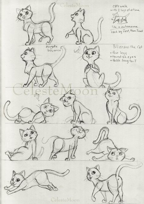 Feline Drawing, Cartoon Kittens, Drawings Of Cats, Cartoon Cat Drawing, Draw Cats, Cat Drawing Tutorial, Some Drawings, Cat Anatomy, Cat Sketch