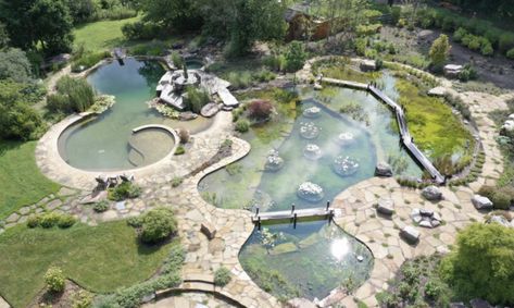 Swimming Ponds, Dipping Pool, Living Pool, Natural Swimming Ponds, Pocket Park, Swimming Pond, Natural Pond, Natural Swimming Pools, Pool Installation