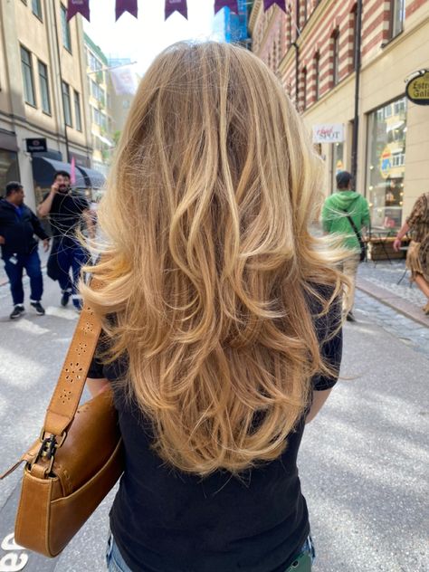 Matilda Djerf Hair, Honey Blonde Hair, Matilda Djerf, Blonde Hair Inspiration, Blowout Hair, Hair Stylies, Hair Inspo Color, Aesthetic Hair, Layered Haircuts