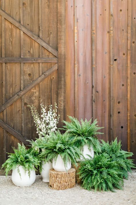 We love how they incorporated ferns and potted plants as wedding decor! Eco-friendly and budget-savvy way to create a fresh centerpiece. #centerpiecesdiy #pottedplants #plantlady Fern Ceremony Decor, Hanging Ferns Wedding, Modern Outdoor Wedding Decor, Forest Arrangements, Woods Themed Wedding, Fern Centerpiece Wedding, Fern Wedding Decor, Potted Plant Centerpieces, Fern Centerpiece