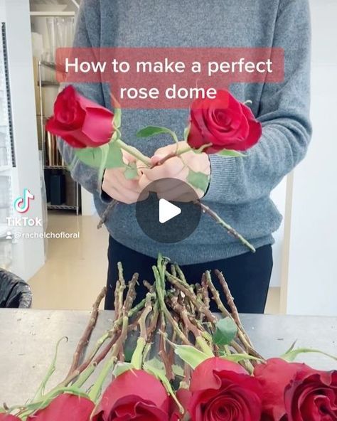 NYC Wedding and Events Florist on Instagram: "Simple and beautiful all red rose. The spiral technique works every time to make a perfect shape! #roses #flowerarrangement #howto #flowerarrangement #flowersofinstagram #rachelcho #rachelchofloral" Simple Rose Arrangements Diy, How To Preserve A Rose, How To Arrange Roses In A Vase, Red Roses Flower Arrangement, Rose Arrangements Diy, 2 Dozen Roses, Red Rose Arrangements, Roses In Vase, Rose Dome