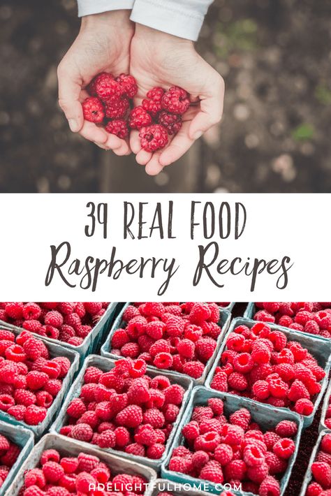 Raspberries contain many health benefits you may not be aware of. Read on to learn all about these benefits, along with 39 real food recipes using raspberries! #raspberries #raspberryrecipes #realfood Raspberry Recipes Healthy, Fresh Raspberry Recipes, Organic Dinner Recipes, Raspberry Sauce Recipe, Benefits Of Organic Food, Raspberry Recipes, Fresh Raspberries, Healthy Food Options, Garden Recipes