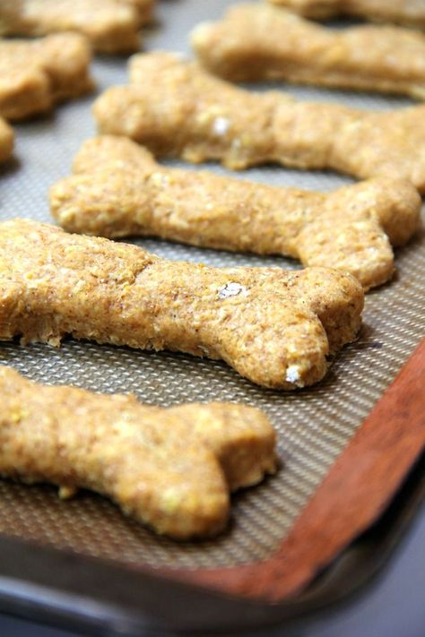 Pumpkin Oatmeal Dog Treats, Pumpkin Dog Treats Recipe, Oatmeal Dog Treats, Recipe With Oatmeal, Dog Treats Homemade Pumpkin, Dog Cookie Recipes, Oatmeal Pumpkin, Dog Treats Recipe, Make Oatmeal