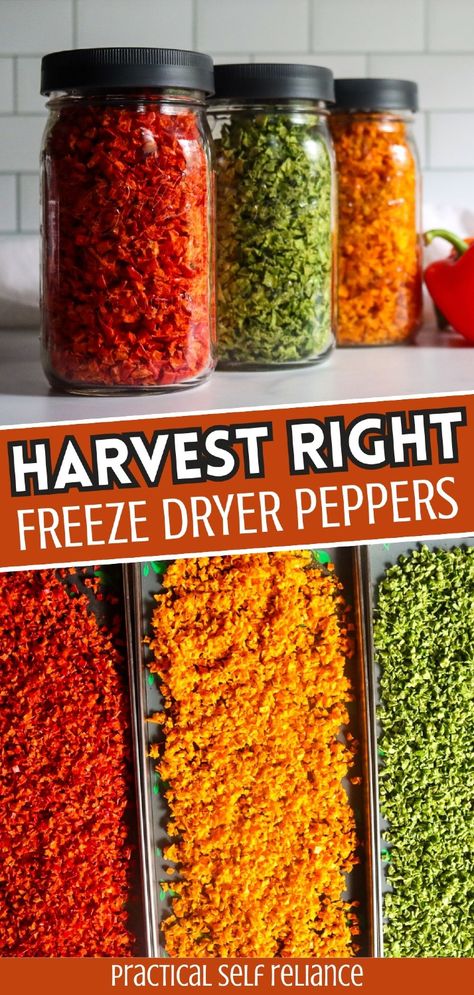 Use your Harvest Right freeze dryer to preserve peppers long-term. From sweet bell peppers to spicy chilis, freeze-drying keeps peppers fresh and ready for whenever you need them in your favorite recipes. Find more preserving peppers, food storage ideas, prepper pantry stockpile, and Freeze Dried Food Storage at practicalselfreliance.com. Freeze Drier Recipes, Harvest Right Freeze Dryer Recipes, Preserving Peppers, Preppers Food Storage, Best Emergency Food, Freeze Dried Food Storage, Harvest Right Freeze Dryer, Prepper Food, Best Freeze Dried Food