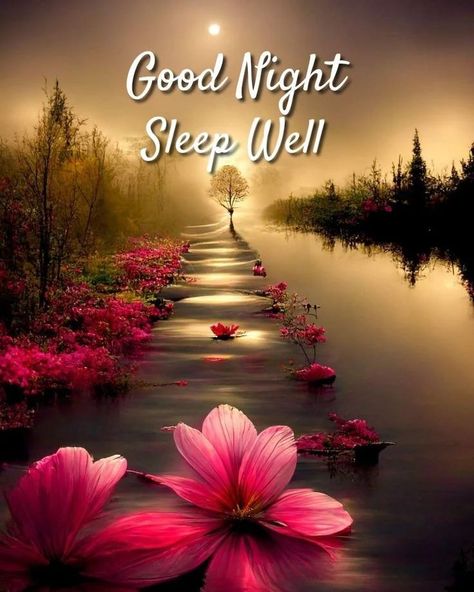 Good Morning Meaningful Quotes, Night Stickers, Good Night Sleep Well, Goodnight Messages, Good Night Love Pictures, Goodnight Quotes Inspirational, Goodnight Wishes, Good Night Beautiful, Night Greetings