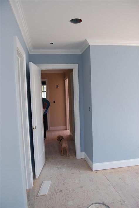 blue heather benjamin moore - Google Search Shades Of Blue Wall Paint, Blue Color Wall Paint, Bm Blue Heather Benjamin Moore, Blue Paint Room Ideas, Painting Ideas For Rooms Bedrooms, Main Room Color Ideas, Painting Ideas In Living Room, Blue Painted Walls Living Room, Light Blue Room Paint