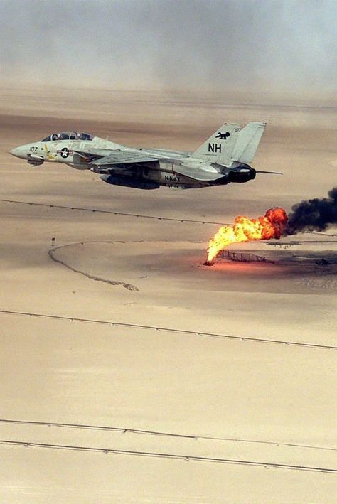 operazione desert storm, gulf war, aircraft, airplane, vehicle, desert, military, flight, beach, jet, airport, fighter, navy, travel, ocean Photo Compilation, Jet Fighter Pilot, Pool Hall, Hd Photography, F14 Tomcat, Military Photography, Military Wallpaper, Persian Gulf, Airplane Fighter