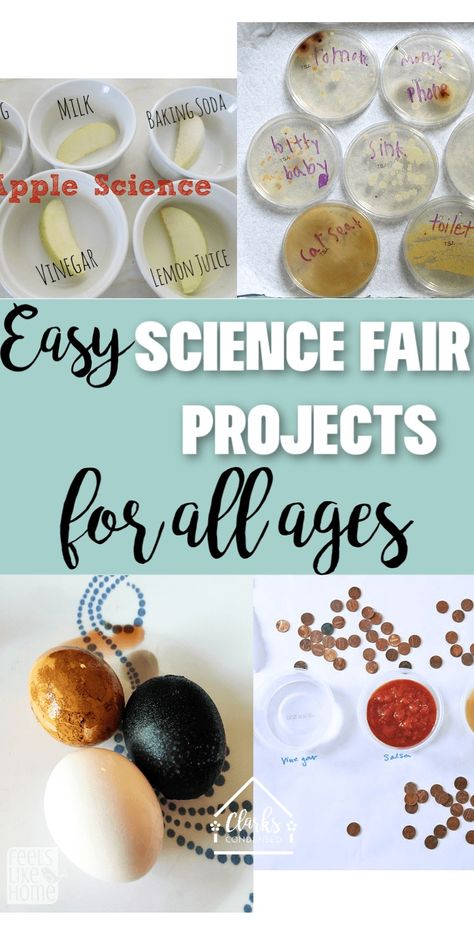 Easy Science Fair Project Ideas for All Ages (And Picking the Perfect Project) 2024 - Clarks Condensed Science Fair Projects For 2nd Grade, Useful Science Projects, Easy Science Fair Ideas, Science Fair 1st Grade Project Ideas, Easy Science Fair Projects For 3rd Grade, Science Fair Projects For Kindergarten, Science Fair Projects For 1st Grade, Preschool Science Fair Projects, Mold Science Fair Project