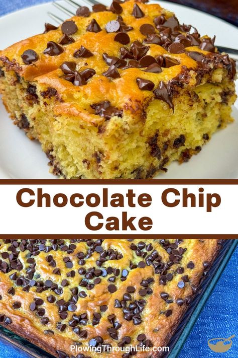 The chocolate chips pair with the buttery flavor of this yellow cake mix to make an irresistible cake. Our Chocolate Chip Cake recipe is popular with teenagers and family members of all ages on any occasion! No frosting necessary, just grab a bite of this easy cake a your craving will be satisfied with the snack or dessert. Chocolate Chip Pound Cake From Cake Mix Boxes, Chocolate Chip Cake With Box Cake, Yellow Cake Mix Chocolate Chip Cookies, Yellow Cake With Chocolate Chips, No Frosting Cake Ideas, One Bowl Cake Recipes, Chocolate Chip Desserts Easy, Chocolate Chip Dump Cake, No Frosting Cake