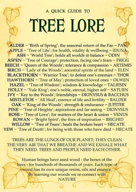 Druid Dnd, Green Witchcraft, Wiccan Spell Book, Witch Spell Book, Witch Spell, Herbal Magic, Celtic Tree, Aspen Trees, Wiccan Spells