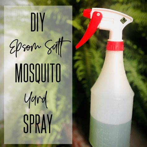 Epsom Salt Mosquito Spray Epsom Salt Diy, Mosquito Spray Diy, Natural Mosquito Spray, Homemade Mosquito Spray, Mosquito Yard Spray, Diy Bug Repellent, Mosquito Repellent Spray, Mosquito Repellent Homemade, Diy Mosquito Repellent