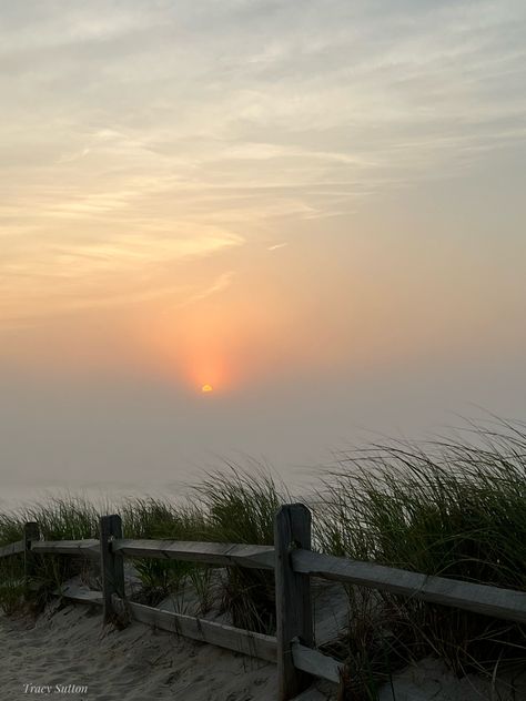 Loveladies, Long Beach Island, NJ Long Beach Island Nj, Long Island Beach, Long Beach Island New Jersey, Lana Del Rey Albums, Surfing Aesthetic, Comfort Place, Long Beach Island, Beach Island, Foggy Morning