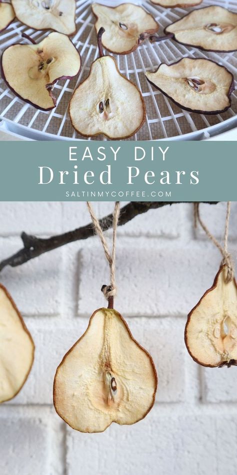 Dried pear slices bring a wonderfully natural and whimsical touch to Christmas decorating, and they complement dried orange slices beautifully. Learn how to get shapely dried pears that hold up well all through the holiday season. Whether you're celebrating a farmhouse Christmas, or lean toward a Scandinavian Christmas decor style, dried pears make a frugal and delightful addition to your simple Christmas decorating. #farmhousechristmasdiy #diychristmasornaments #naturalchristmasdecor Christmas Ticket, Rustic Farmhouse Christmas Decor, Natal Natural, Dried Pears, Advent Wreaths, Dehydrated Apples, Rustic Farmhouse Christmas, Christmas Tables, Candle Decorations