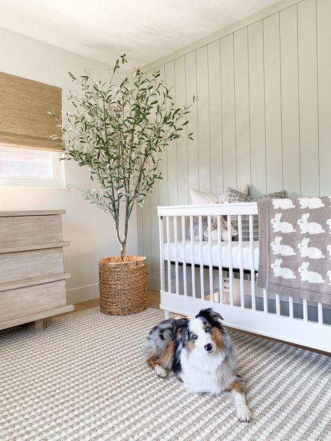 Olive Themed Nursery, Soft Green Nursery Gender Neutral, Sage Green And Grey Nursery Boy, Grey Green Nursery, Green Theme Nursery, Light Sage Nursery, Light Green Nursery Gender Neutral, Olive Green Nursery Neutral, Light Green Nursery Boy