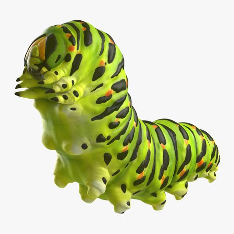 Caterpillar Art, Real Model, 3ds Max Models, 3d Modelling, Bugs And Insects, Ink Pen Drawings, Creature Art, Low Poly, 3ds Max