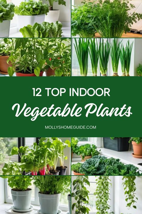 Looking to add some greenery indoors? Discover the best indoor vegetable plants you can easily grow inside. From strawberries to herbs, learn how to grow vegetables indoors and harvest fresh produce all year round. Get started with the easiest vegetables to grow indoors and even regrow from kitchen scraps. Consider growing vegetables in buckets or creating a year-round indoor garden with the best vegetables for your space. Enjoy the convenience of having your own indoor vegetable garden right at Inside Vegetable Garden Ideas, How To Grow Spinach Indoors, Indoor Garden Setup, How To Grow Herbs Indoors, Grow Spinach Indoors, Vegetables In Buckets, Vegetables To Grow Indoors, Indoor Kitchen Garden, Grow Vegetables Indoors