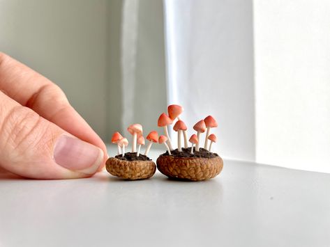 Polymer clay red mushrooms Mini Clay Mushrooms, Miniature Mushrooms, Clay Mushrooms, Acorn Caps, Red Mushrooms, Clay Mushroom, Miniatures Diy, Mushroom Pictures, Miniature Stuff