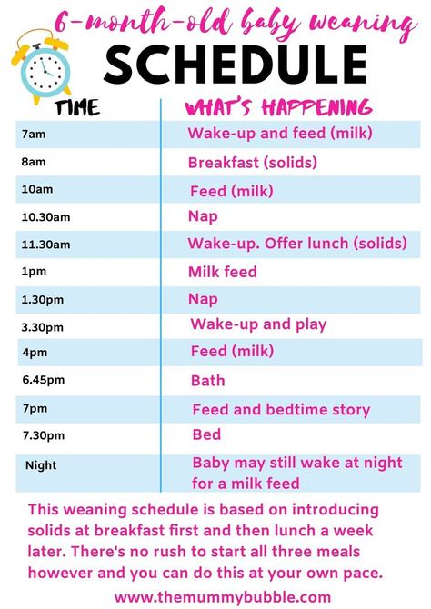 A simple daily schedule for a six-month-old baby who is weaning. A sleep, feeding and play schedule to help you introduce solids to your baby and adjust their daytime milk feeds #babyroutine #babyschedule #sahmroutine #dailyroutine #weaningtips #babytips Sample Newborn Schedule, Newborn Care First Week, Baby Solid Food Schedule, Baby Food Schedule, Baby Solid Food, Baby Trivia, 4 Month Old Baby, Newborn Sleep Schedule, Newborn Schedule