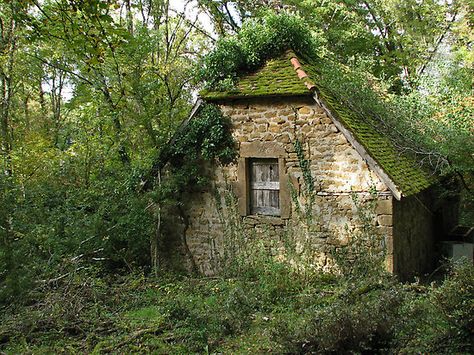 i like when the stone cottages are overgrown, not too cutesy with perfect gardens. i like crawling ivy, like nature's taking over it and the cottage is one with it's surroundings. Ruins Architecture, Beautiful Ruins, Stone Cottages, Witch Garden, Cottage Aesthetic, Dream Cottage, Stone Cottage, Cabins And Cottages, Perfect Garden