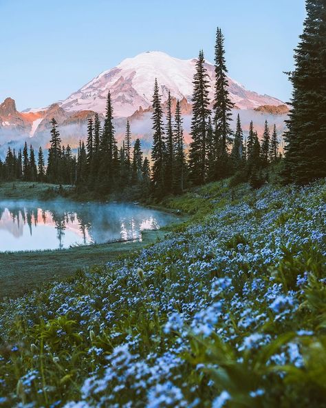 Wildflowers in the west coast. 🪻🌷🌸 Photos by @jhamilbader #takemoreadventures #washington #oregon #nationalpark #pnw #wilderness #adventure #mountains #outdoors #earthfocus #lake #hikingadventures #stayandwander #beautifuldestinations Pnw Aesthetic, More Adventures, Lake Photography, West Coast Road Trip, Mountain Photos, Up Book, Twin Peaks, Beautiful Lakes, Beautiful Mountains