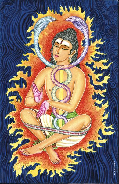 Kundalini Awakening Art, Hata Yoga, Awakening Art, Arte Yoga, Yoga Facts, Yoga Kundalini, Kundalini Awakening, Buddhist Meditations, Chakra Yoga