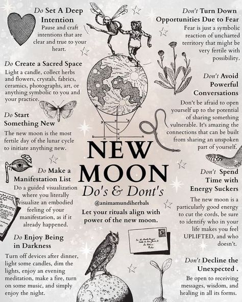 New Moon Cycle, Moon Cycle Witchcraft, New Moon Dos And Donts, Monthly Witchcraft Rituals, Things To Do On A New Moon, New Month Witch Rituals, Spell For New Beginnings, New Moon Energy, New Moon Journaling