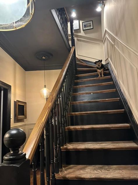 Narrow Enclosed Staircase Ideas, Enclosed Staircase Ideas, Painted Stairs Makeover, Victorian Hallway Ideas, Enclosed Staircase, Victorian Stairs, Stairs Makeover Ideas, Staircase Interior Design, Victorian Hallway