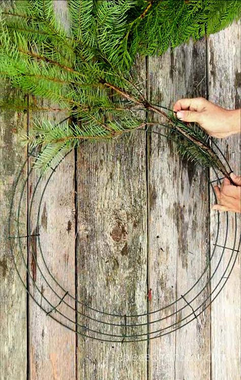 Christmas Wreaths Diy Evergreen, Real Christmas Wreaths, Rustic Christmas Crafts, Door Decor Ideas, Homemade Christmas Wreaths, Crafts Winter, Natural Christmas Wreaths, Fresh Christmas Wreath, Xmas Decorations Diy