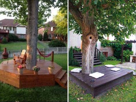 #10 BUILD A SMALL SANCTUARY UNDER A LEGENDARY TREE Deck Around Trees, Inexpensive Landscaping, Building A Floating Deck, Tree Deck, Landscaping Around Trees, Floating Deck, Outdoor Trees, Decks Backyard, Diy Deck