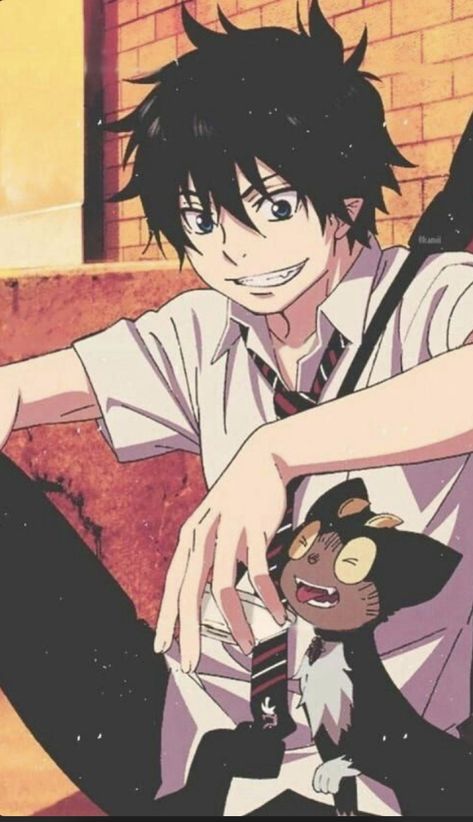 Blue Exorcist Rin, Blue Exorcist Anime, Exorcist Anime, Rin Okumura, Ao No Exorcist, Maid Sama, Shugo Chara, 5 Anime, Blue Exorcist