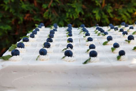 Sheet Cake For Wedding Reception, Sheet Cakes For Weddings Reception, Sheet Pan Wedding Cake, Wedding Sheet Cake Ideas, Sheet Cake Ideas, Blueberry Wedding, Wedding Sheet Cakes, Wedding Cake Trends, Celebration Desserts