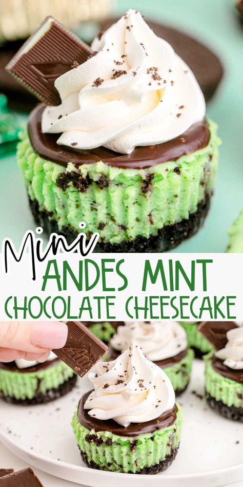 Andes Mint Cheesecake, Chocolate Ganache Cheesecake, Chocolate Cheesecake Bites, Mint Chocolate Cheesecake, Andes Mint Chocolate, Oreo Cheesecake Bites, Andes Mints, Mint Cheesecake, Mini Cheesecake Recipes