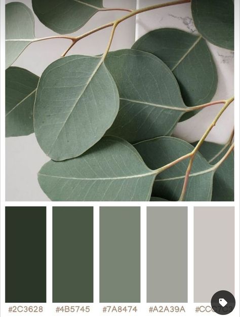 Green Paletes, Save Green Color Palette, Green Scale Color Palette, Grey And Green Kitchen Colour Palettes, Contemporary Nordic Living Room, Green Grey Tan Color Scheme, Green Nuetral Pallete, Leaf Green Color Palette, Green And Grey Colour Palette