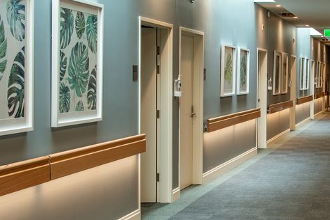 Hospital Corridor Design, Led Handrail, Senior Living Interior Design, Hospital Ideas, Timber Handrail, Tropical Artwork, Healthcare Interior Design, Daphne Guinness, Wood Handrail