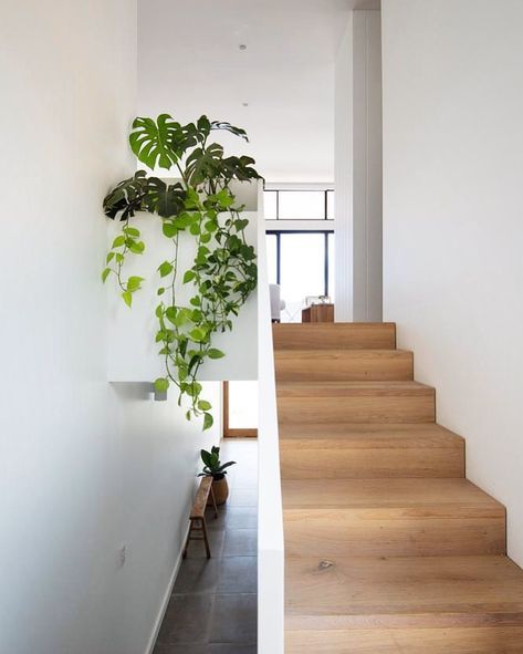 • • G R E E N E R Y • • This pop of colour at the top of the stairwell is a nice feature amongst the beautiful paired-back neutral… Plants Stairs Indoor, Stairwell Plant Ideas, Plant On Stair Landing, Plants In Staircase, Stairwell Plants, Plants On Stairs Indoors, Staircase Plants Indoor, Staircase With Plants, Plants Staircase