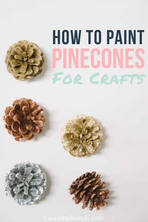 Here's how to paint pine cones for crafts and decorations using clean, dry pine cones and spray paint. Painted pine cones are great for use in home decor and pine cone crafts! #pinecones #crafts #pineconecrafts #spraypaint #lauraradniecki Spray Painting Pine Cones Diy, Painting Pine Cones For Christmas, How To Paint Pinecones Diy, How To Paint Pine Cones, How To Paint Pinecones, Spray Paint Pine Cones, Painting Pinecones, Paint Pinecones, Pinecone Painting