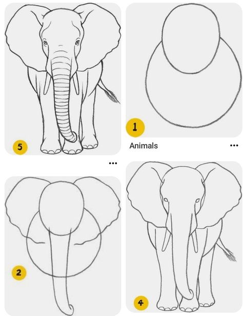 Beginner Animal Drawing, Simple Art Drawings For Beginners, How To Draw Safari Animals, Animals Step By Step Drawings, Wildlife Drawings Easy, Easy Animal Drawings For Beginners, Simple Animal Drawings Step By Step, Animal Sketches Step By Step, How To Draw An Elephant Step By Step