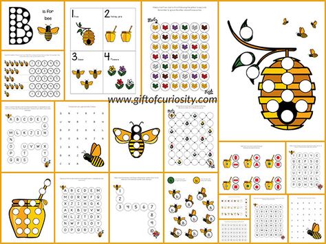 Free Bee Do-a-Dot Printables: 20 pages of bee dot worksheets for kids ages 2-6. The graphics in this pack are so cute! || Gift of Curiosity Bee Worksheet, Bee Life Cycle, Kindergarten Photos, Worksheet For Kindergarten, Bee Crafts For Kids, Bee Activities, Bee Classroom, Dot Worksheets, Do A Dot