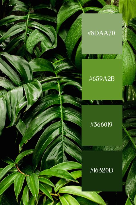 Forest Green Palette captures the lushness of tropical leaves in deep forest green. The glossy, rich green foliage creates a vibrant and exotic atmosphere. The intricate details and varying shades of green emphasize the lushness and beauty of the forest green palette. Palm Green Color Palette, Vibrant Tropical Color Palette, Bright Green Palette, Vibrant Green Color Palette, Forest Green Palette, Jungle Color Palette, Leaves Color Palette, Forest Green Color Palette, Spa Interiors