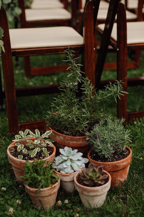 Terracotta Potted Plants Wedding, Potted Plants Wedding Ceremony, Potted Flowers Wedding, Terracotta Pots Wedding, Kumquat Wedding, Sage And Terra Cotta Wedding, Potted Plants Wedding, Potted Plant Wedding, Potted Plant Centerpieces