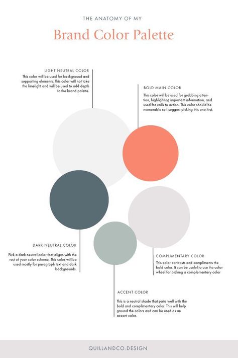 Brand Guide Colour Palette, Colourful Logos Design, How To Create Color Palette, Color Palette Marketing, How To Make A Color Palette, Bold Colour Palette Branding, Color Schemes Business, Circle Color Palette, Marketing Color Palette