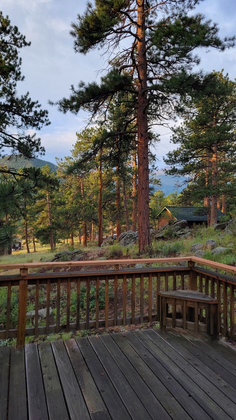 rocky mountain forest view from the cabin deck Home Surrounded By Trees, Cabin On The Lake Aesthetic, Cabin The Woods, Living In The Forest Life, Country House Outdoor Ideas, House In Pine Forest, Forest Living Aesthetic, New Place Aesthetic, Big Cabin In The Woods