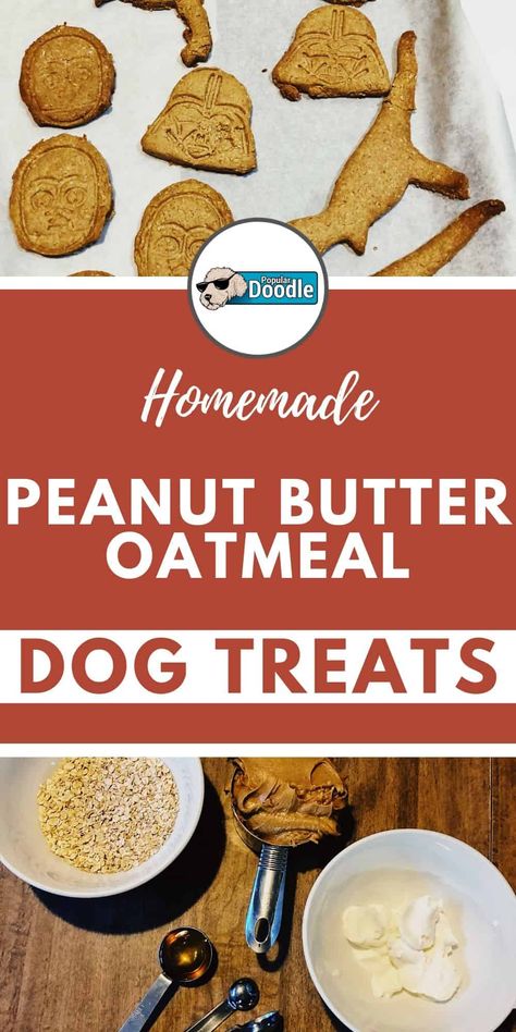 Oatmeal Peanut Butter Dog Treats Easy, Homemade Peanut Butter Dog Treats Recipe, Oatmeal Dog Treats, Dog Treats Homemade Peanut Butter, Dog Treats Recipe, Biscuits Recipes, Dog Treats Homemade Easy, Doggy Treats, Dog Biscuit Recipes