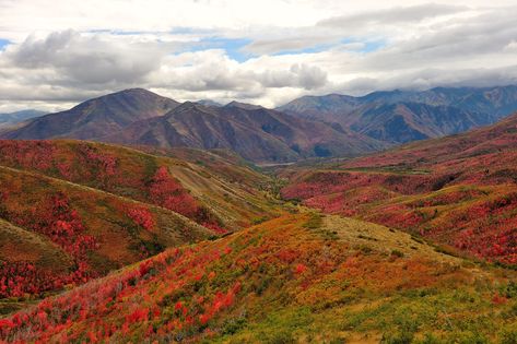 Deer Creek Overlook | Brent Clark | Flickr Deer Creek, Deer, Natural Landmarks, Photography, Travel, Nature