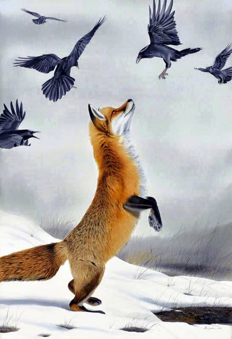 Fox standing on  Its hind legs looking at the birds art Fox Standing, Fox In The Snow, Fuchs Baby, Fox Drawing, Fox Spirit, Fox Art, Cute Fox, Animal Heads, Drawing Tutorials