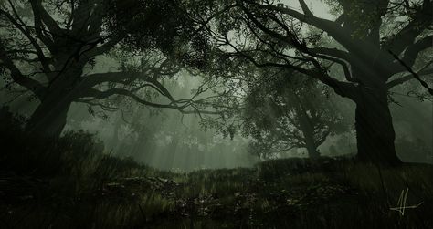 Dark Forest, Alis A on ArtStation at https://www.artstation.com/artwork/0XY06E 1920 X 1080 Hd Wallpaper Desktop Aesthetic Dark, Pc Backgrounds 1920x1080, Dark Background For Laptop, Forest Widgets, Moody Computer Wallpaper, Macbook Wallpapers Dark, Dark Green Wallpaper Laptop, Dark Green Ipad Wallpaper, Aesthetic Green Wallpaper Desktop