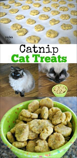 Katt Hus, Diy Cat Treats, Catnip Treats, Pet Recipes, Homemade Pet Treats, Pet Treats Recipes, Kat Diy, Chat Diy, Cat Treats Homemade