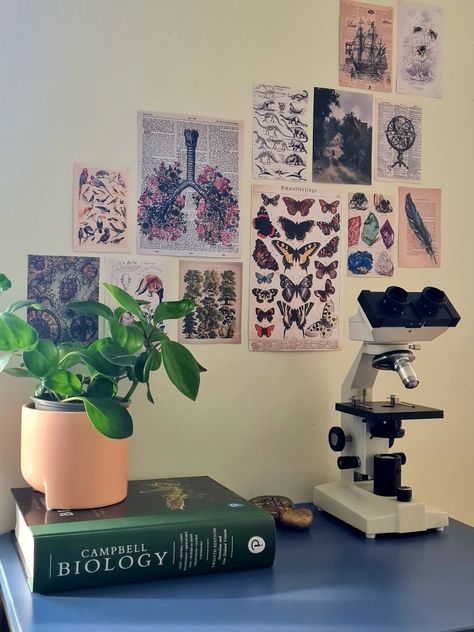 Biologist Room Aesthetic, Notion Cover Aesthetic Biology, Plant Physiology Aesthetic, Science Classroom Decorations Middle School, Conservation Biology Aesthetic, Biological Sciences Aesthetic, Science Bedroom Aesthetic, Biology Class Aesthetic, Biology Bedroom